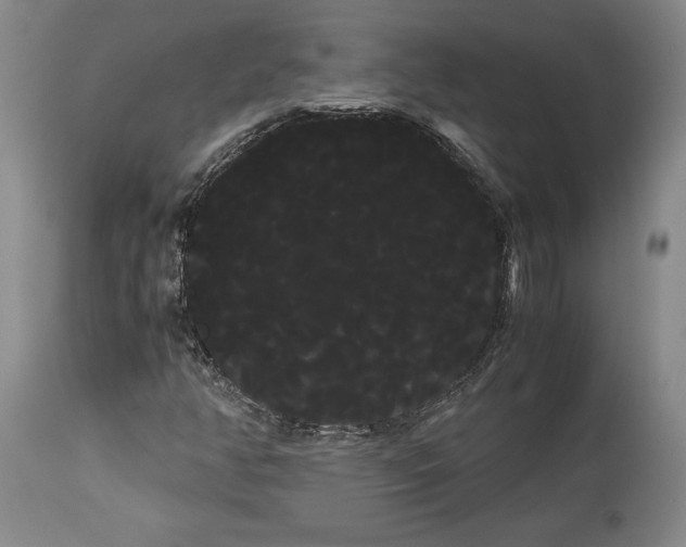 X0000114191350200910231311