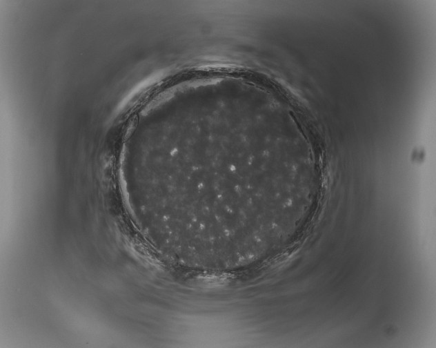 X0000114191351200910231311