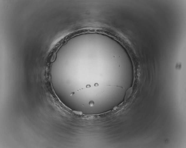 X0000114191352200910231311