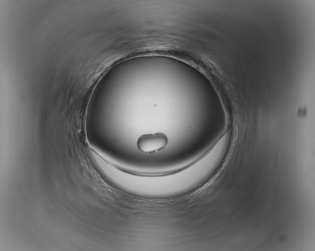 X0000114191353200910231311