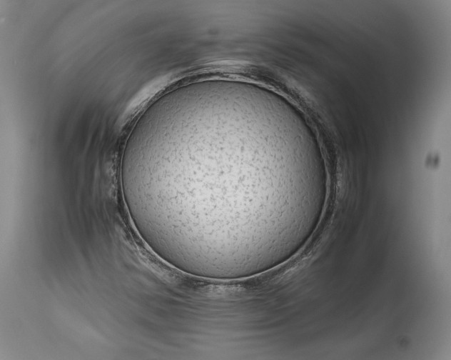X0000114191354200910231311
