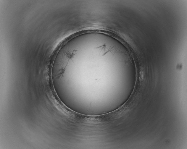 X0000114191356200910231311