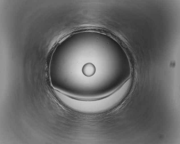 X0000114191357200910231311
