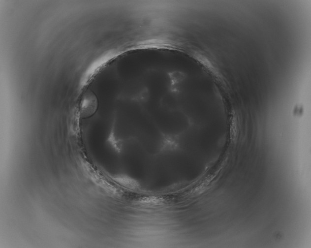 X0000114191358200910231311