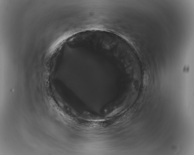 X0000114191359200910231311