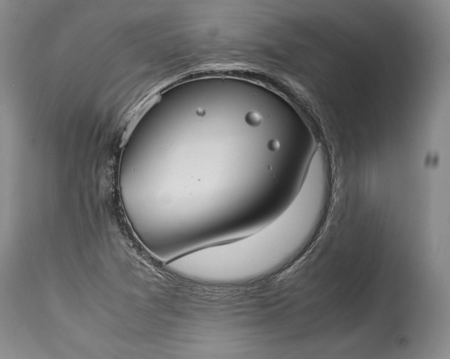 X0000114191361200910231311