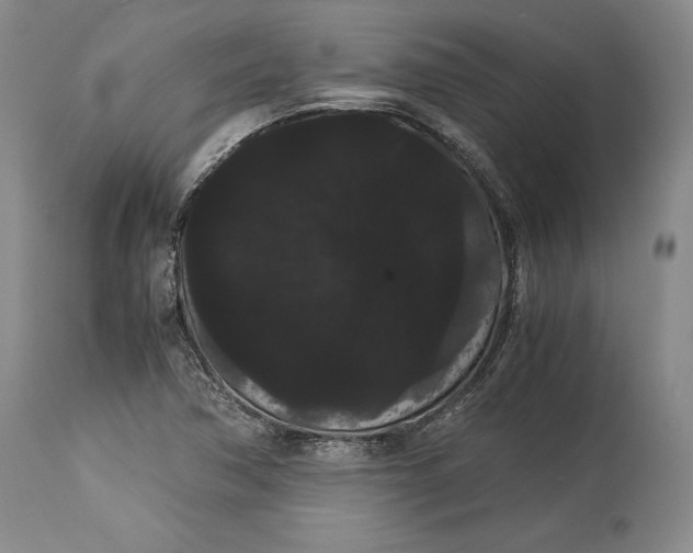 X0000114191362200910231311