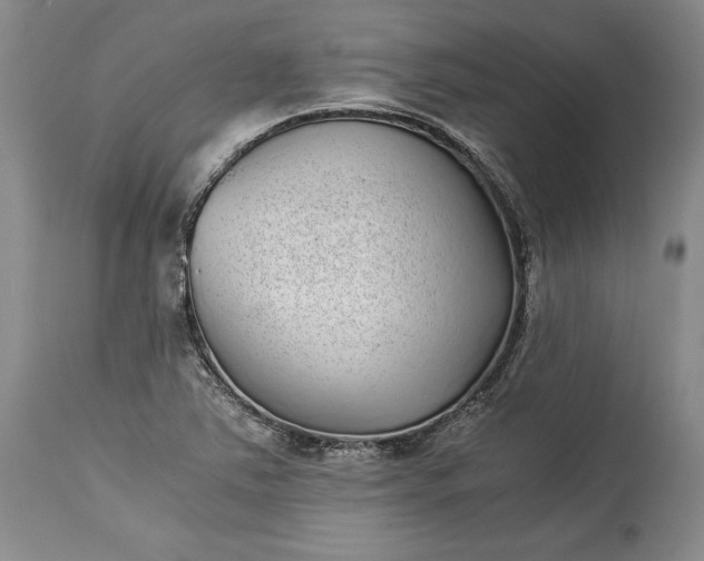 X0000114191363200910231311