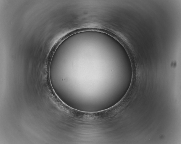 X0000114191364200910231311