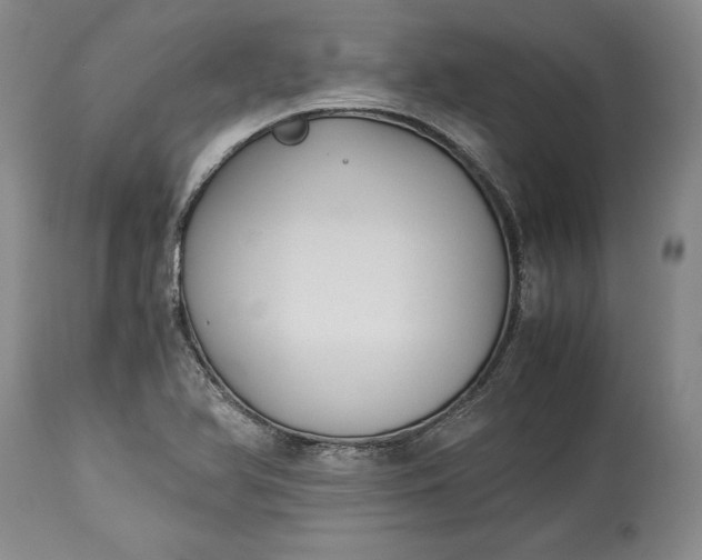 X0000114191366200910231311