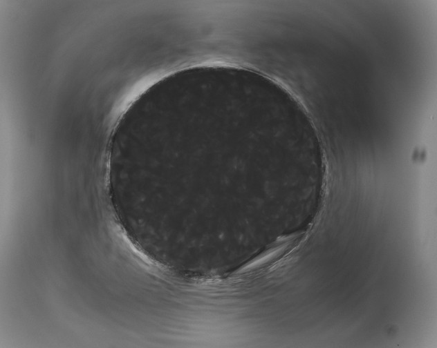 X0000114191367200910231311