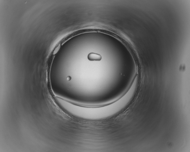 X0000114191368200910231311