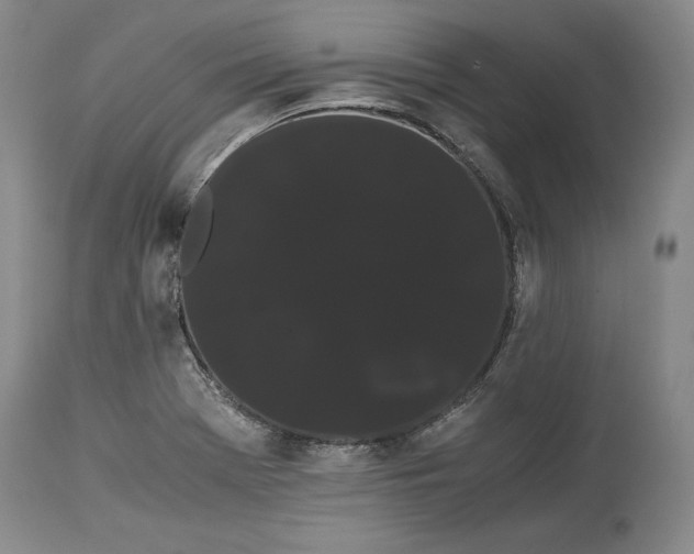 X0000114191369200910231311