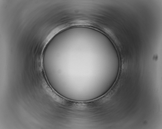 X0000114191370200910231311