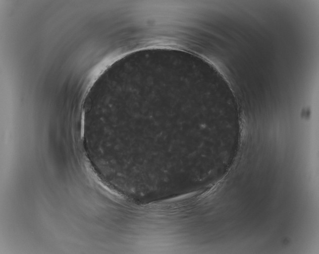 X0000114191371200910231311