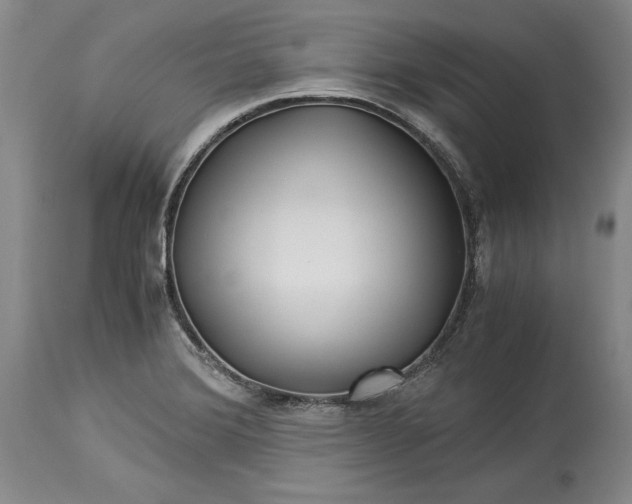 X0000114191372200910231311