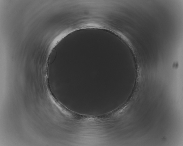 X0000114191373200910231311