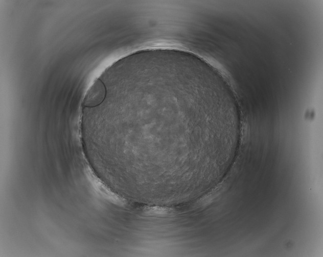X0000114191374200910231311