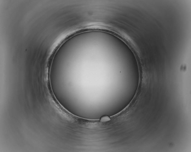 X0000114191376200910231311