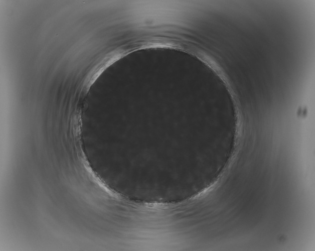 X0000114191377200910231311