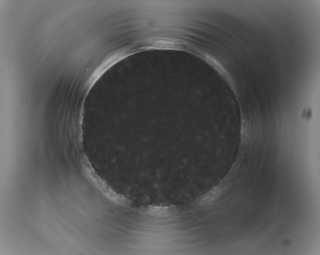 X0000114191378200910231311