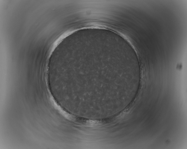 X0000114191379200910231311