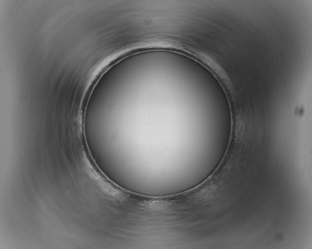 X0000114191380200910231311