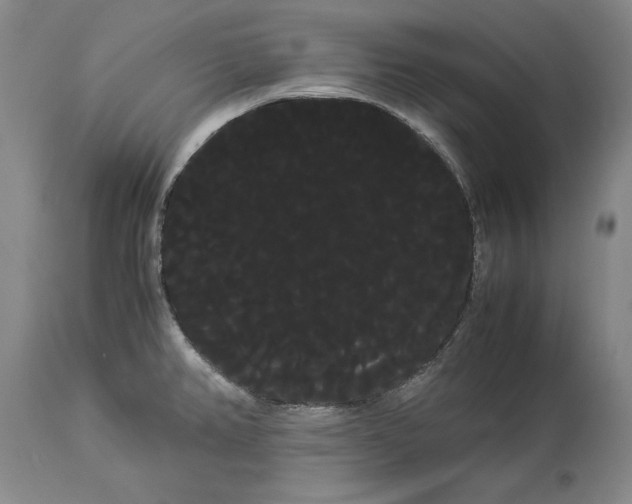 X0000114191382200910231311