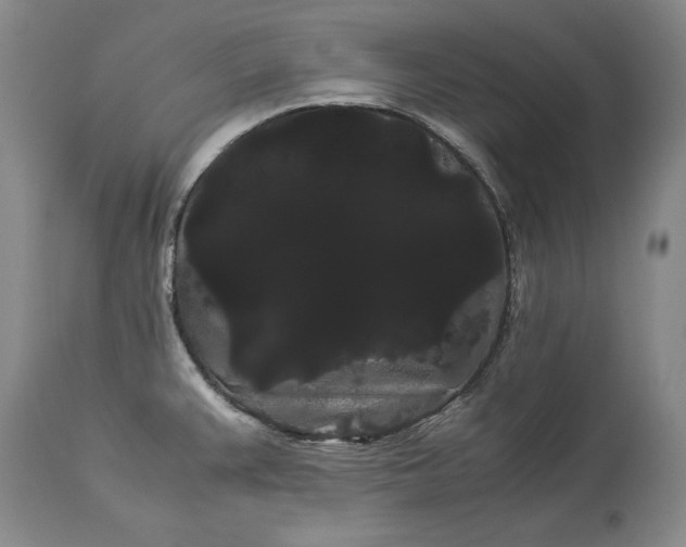 X0000114191383200910231311