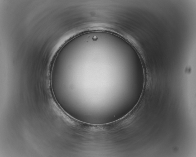 X0000114191384200910231311