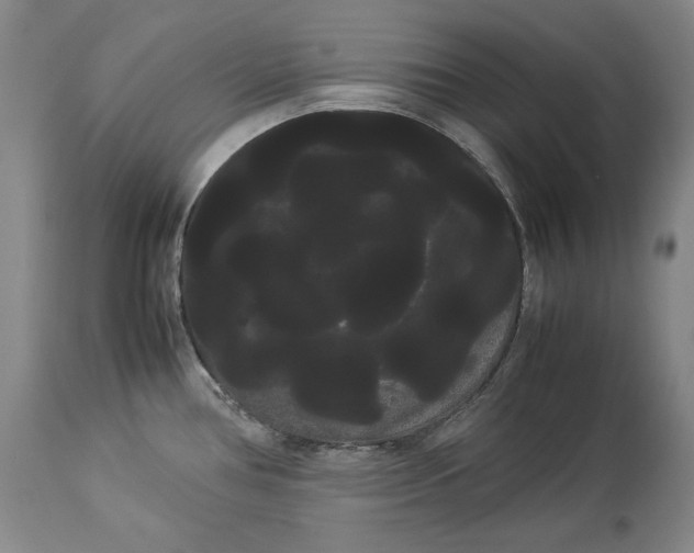 X0000114191386200910231311