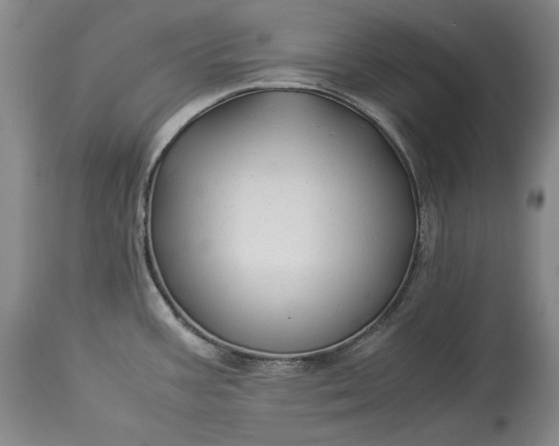 X0000114191387200910231311