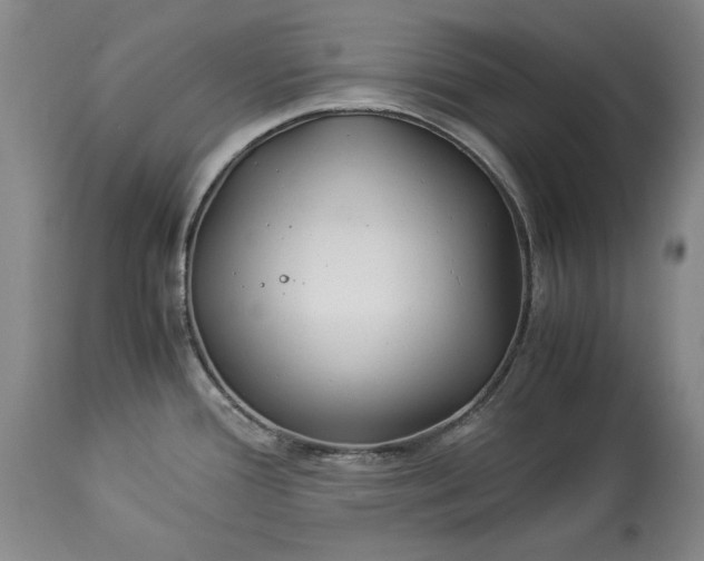 X0000114191388200910231311