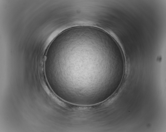 X0000114191389200910231311