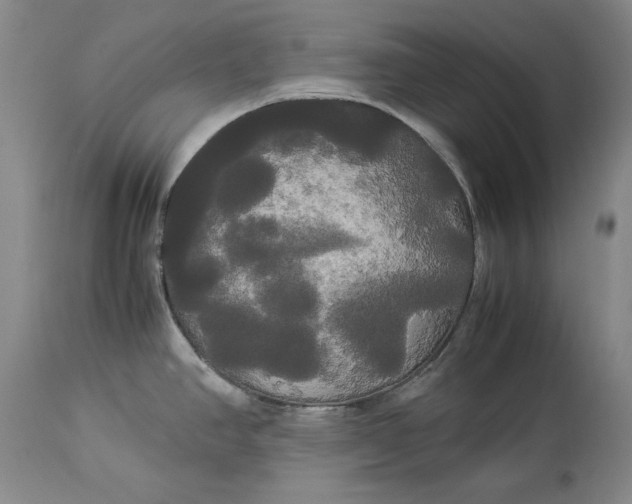 X0000114191390200910231311