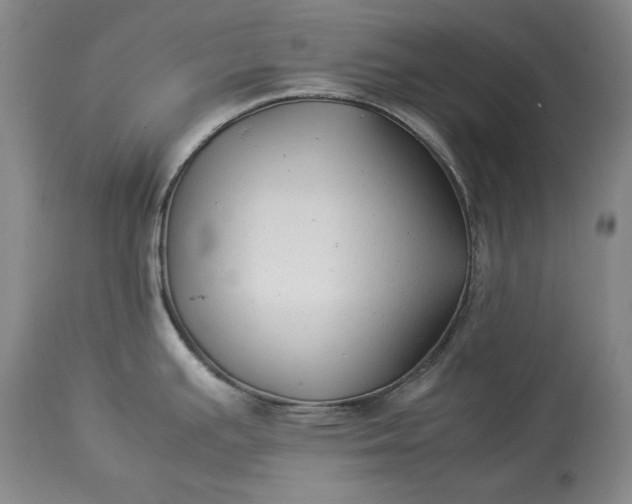X0000114191391200910231311