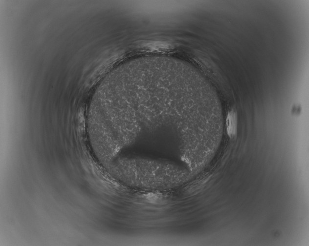 X0000114191395200910231310