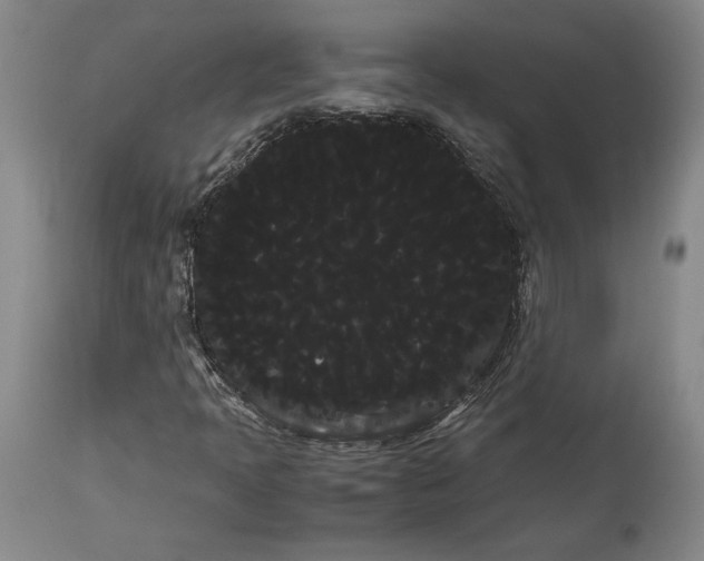 X0000114191397200910231310