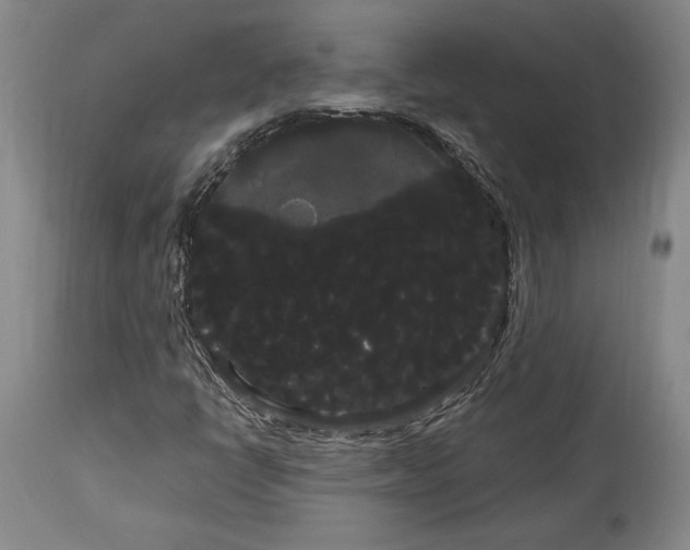 X0000114191398200910231310