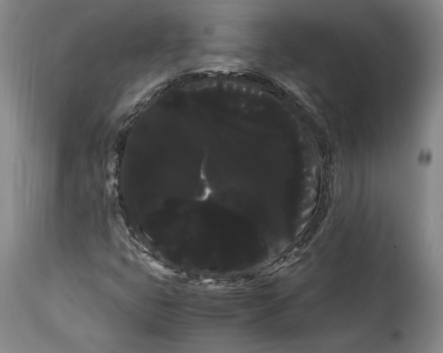 X0000114191399200910231310