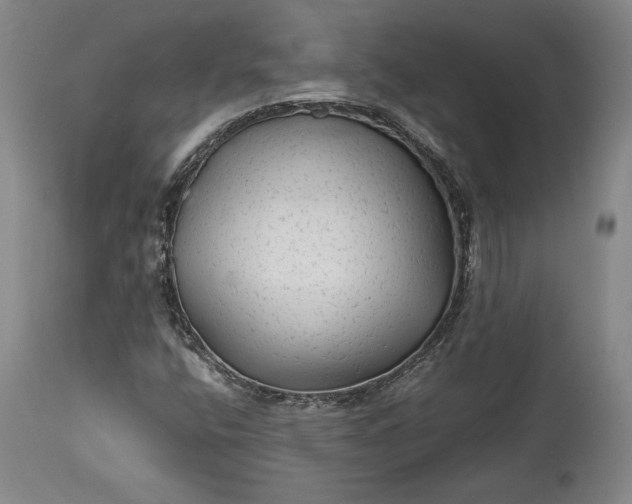 X0000114191400200910231310