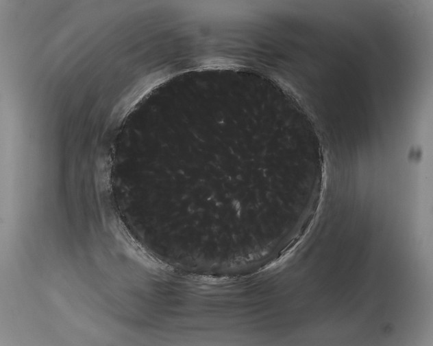 X0000114191401200910231310