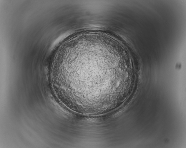 X0000114191402200910231310