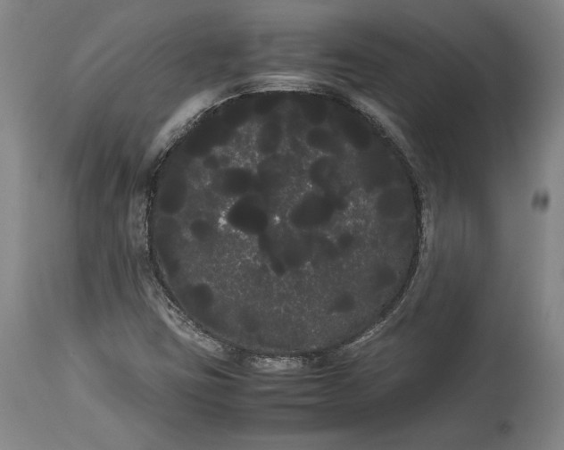 X0000114191403200910231310