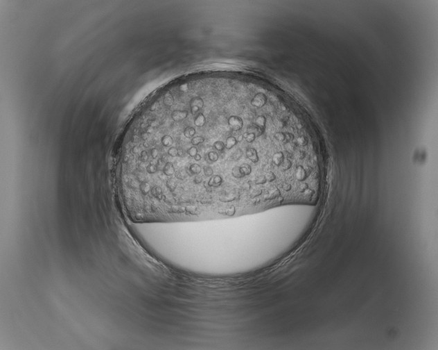 X0000114191404200910231310