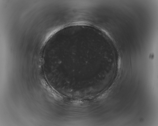 X0000114191405200910231310