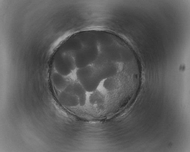 X0000114191406200910231310