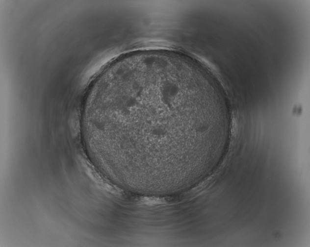 X0000114191407200910231310