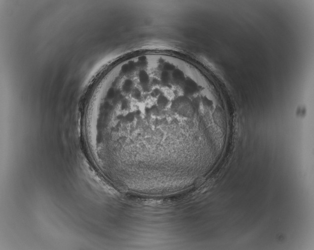 X0000114191408200910231310
