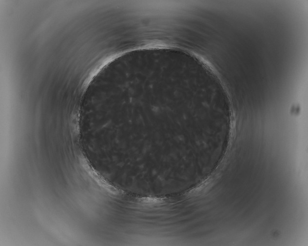 X0000114191409200910231310